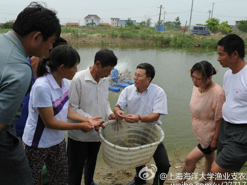 7��28�գ��Ϻ������W���O�I(y��)�Ƽ�֧�r(n��ng)�����ՈF����|�h�Lɳ�(zh��n)���}���M�пƼ�֧�r(n��ng)���ա��D��F꠼��g(sh��)ָ��犲�ʿ�����B(y��ng)ֳ���v���~ƌW�B(y��ng)ֳ�ķ�����