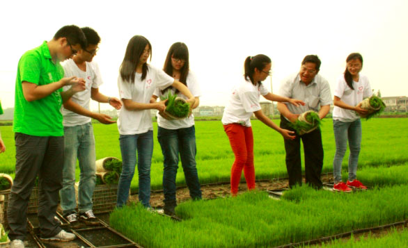 ��ꎎ����WԺ���Gɫ���ۡ����`�־Ը����ˮ�����g�M���w�ʽ������