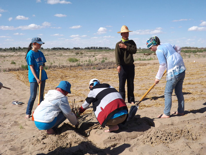 �@�N1.5��Ҋ�������ݸ�������ɳЧ����������^4��5���͕��L�g��������Ҫ�����a����