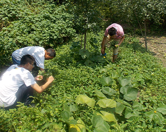 �ڶ��죬꠆T���_ʼ�������B�r���w��r�����������ժ�ˡ�