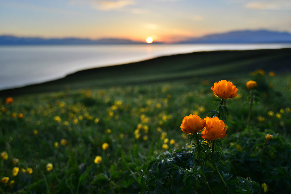 你會唱家鄉的歌嗎?