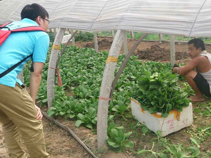 ���`꠆T�c�����r��e�O��ͨ������������}���˽��߲˴�������P��r��