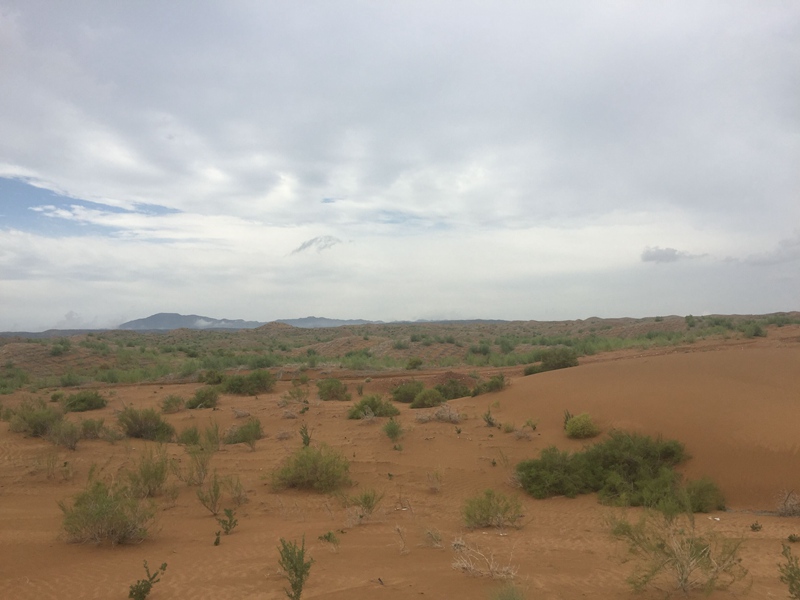 �v����ɳĮ�޾W������ݷ����ﲼ�M�[�d��ɳ��ֲ����