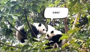 �L�L��̫�ɐ��ˣ�С��ȫ�̡���ĸЦ����