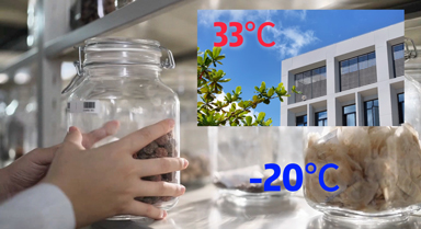 未來，海南這里都是-20℃？