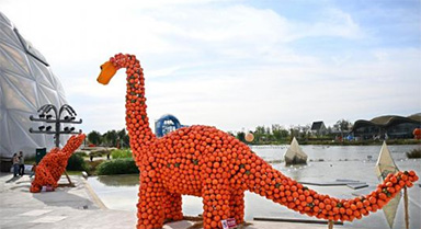 青島：“南瓜王國”吸引游客